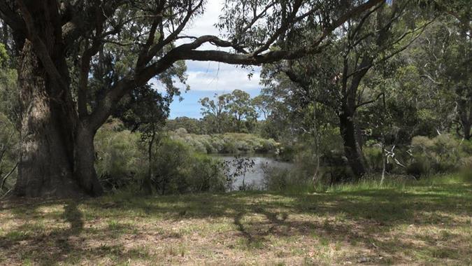 River at Olive Hill Farm